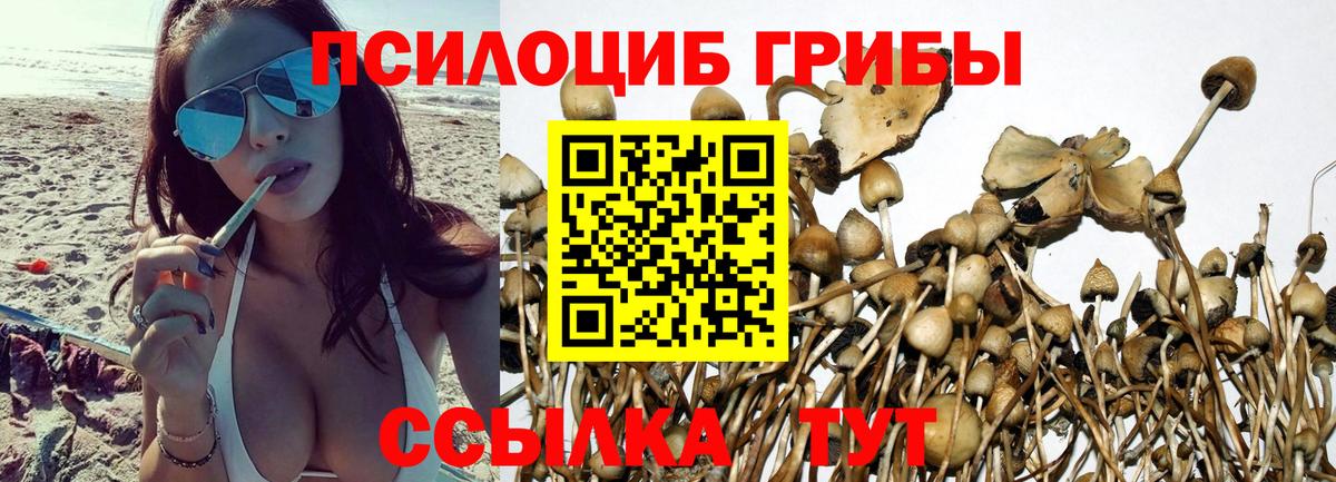 Псилоцибиновые грибы прущие грибы Нижневартовск